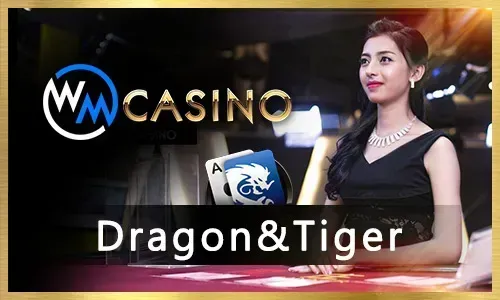 VIP program graphic for lodigame exclusive benefits